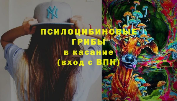 мяу мяу мука Верея