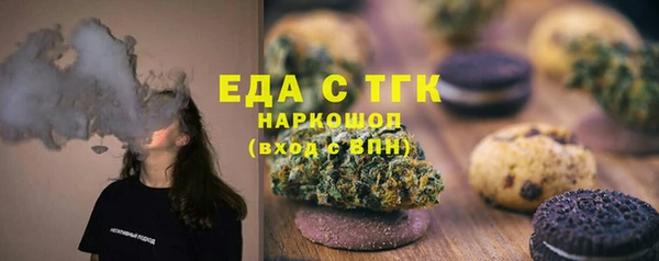дживик Верхний Тагил
