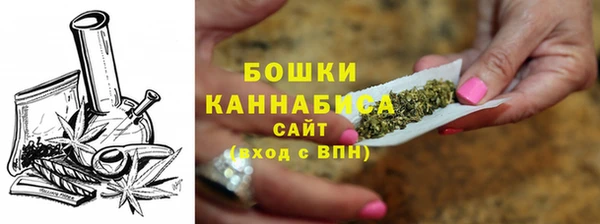 дживик Верхний Тагил