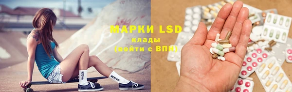 дживик Верхний Тагил