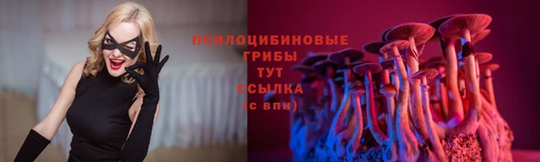 дживик Верхний Тагил