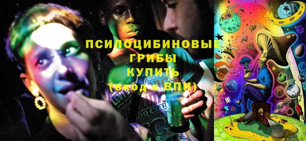 дживик Верхний Тагил