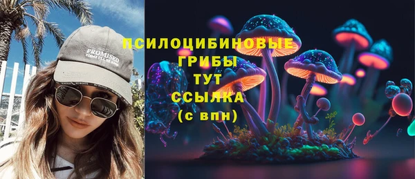 дживик Верхний Тагил