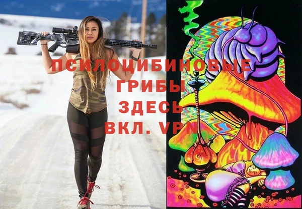 дживик Верхний Тагил