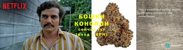 дживик Верхний Тагил
